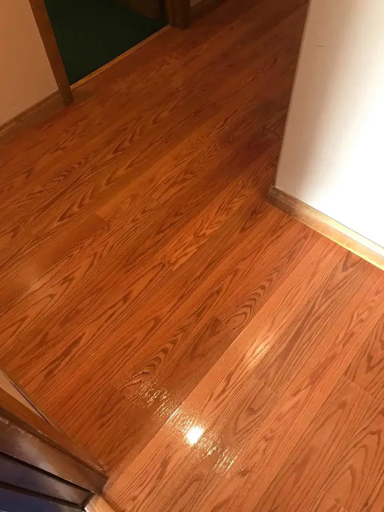 All Type Floor Cleaning