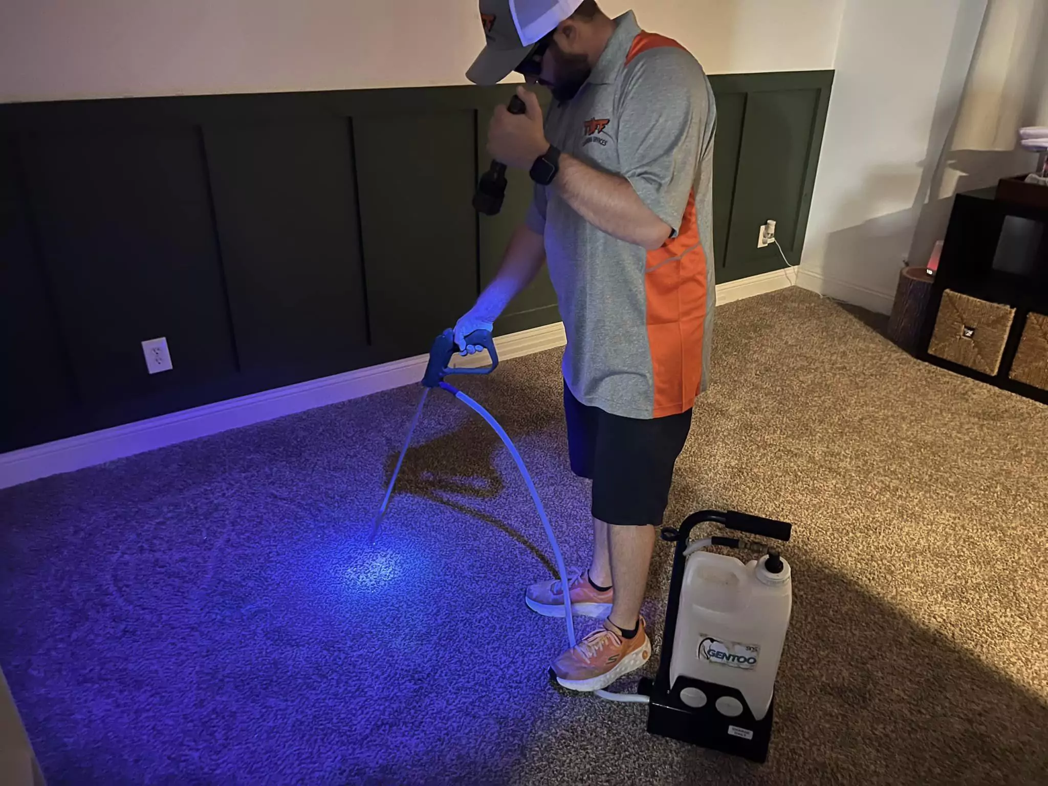 Pet Odor Removal Services (1)