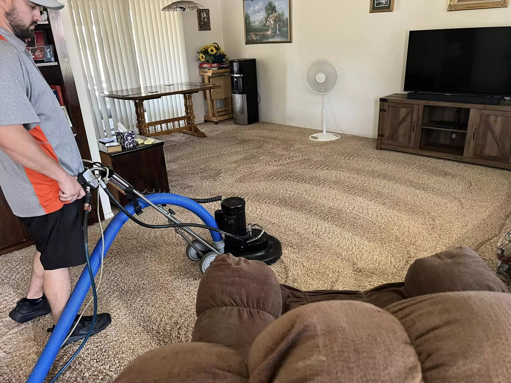 Pet Odor Removal Services