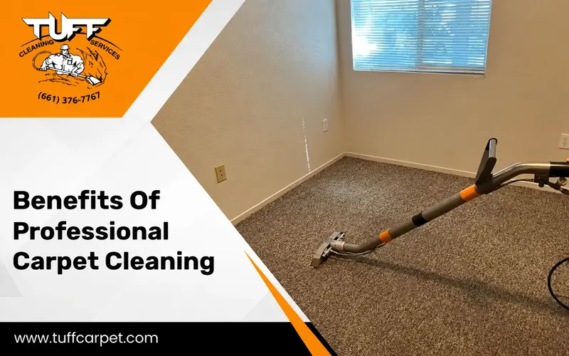 Benefits of professional carpet cleaning